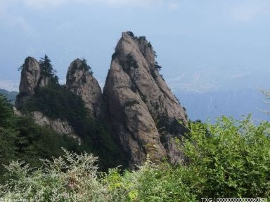 少林寺為何購地？ 專家：別總盯著商業化，也要看到文化發揚