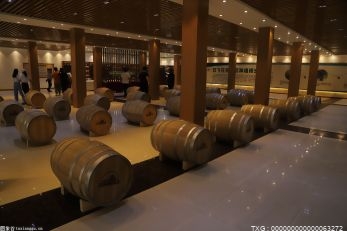 國外葡萄酒的