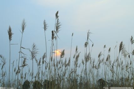 五一假期中國(guó)旅游市場(chǎng)出現(xiàn)