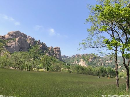 石化行業低碳轉型面臨多方挑戰