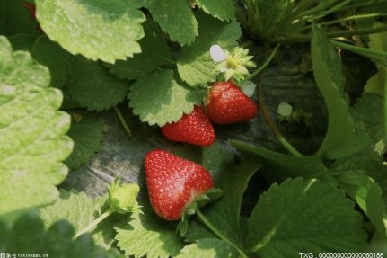 發改委將公眾新需求作為未來發展重點領域 生物技術成有效力量