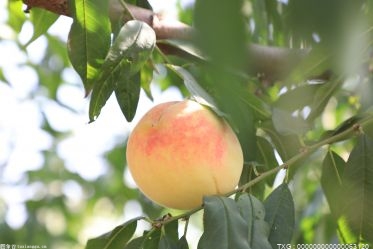 浙商創投高管涉嫌桃色丑聞 官方回應高度重視并立即進行情況核實