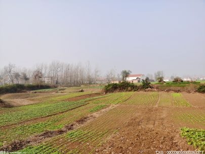 河北省辛集市借助良好農(nóng)業(yè)產(chǎn)業(yè)基礎(chǔ) 構(gòu)建智慧農(nóng)業(yè)助力鄉(xiāng)村振興