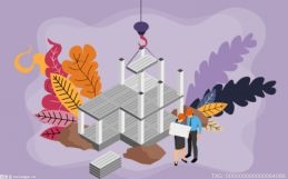 中國輸入性通脹的防與治 完全有能力繼續保持物價平穩運行