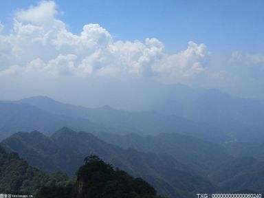 民宿自救指南 上線土特產直播讓業界看到行業韌性所在