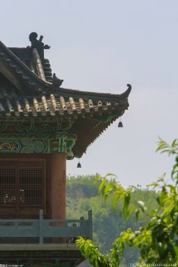國家統計局發布數據四月一線城市新建商品住宅銷售價格同比上漲3.9%