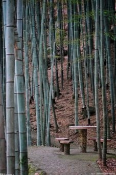 2022年暑假期間中國20個地質(zhì)公園實行門票減免等優(yōu)惠政策