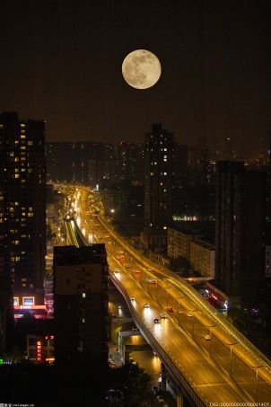 7月22日大眾汽車集團首席執行官迪斯辭職